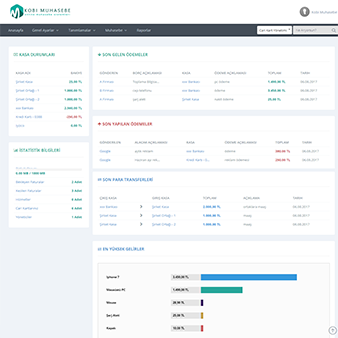 Kobi Muhasebe Ekran - 3